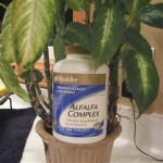 Alfalfa benefits our health. Alfalfa benefits your health.