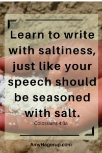 Christian bloggers, learn to write with saltiness, seasoned with grace.