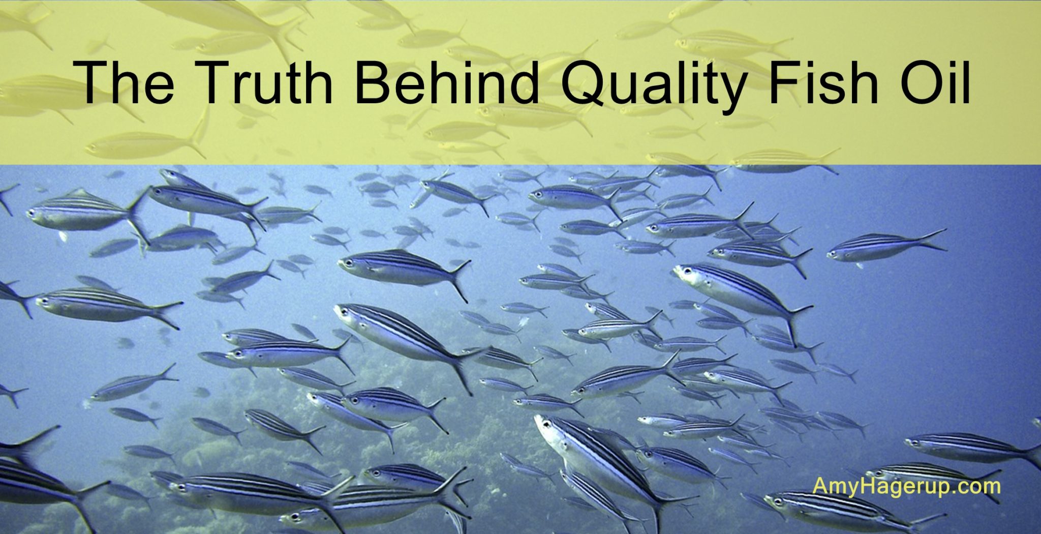 Here is the truth behind quality fish oil.