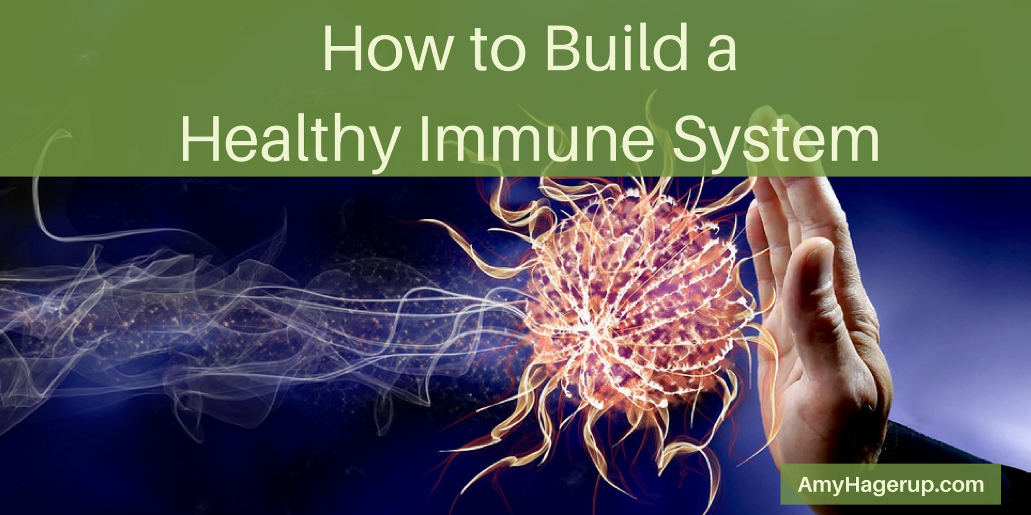 How to Build A Healthy Immune System - Vitamin Shepherd - Growing in