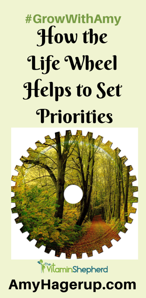 Check out how the life wheel helps to set priorities.