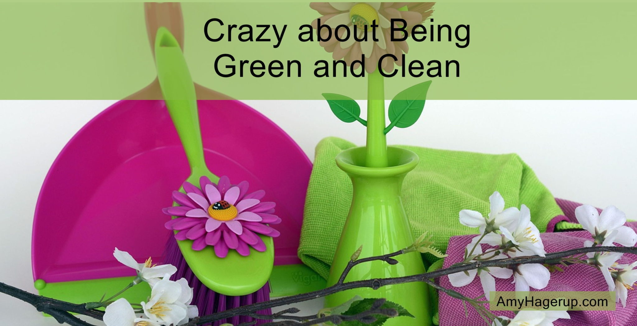 Get your home cleaned up with green cleaners. Go non-toxic all the way.