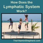 How does the lymphatic system work