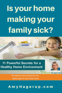 Learn 11 powerful secrets to a healthy home.