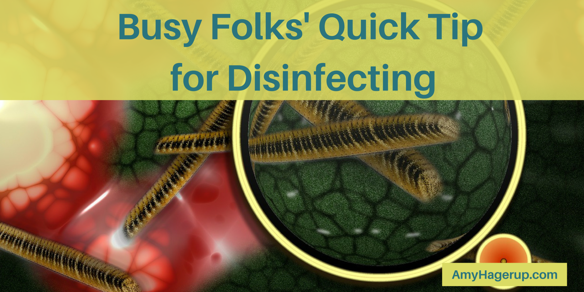 Here is a quick tip for disinfecting with non-toxic cleaner.