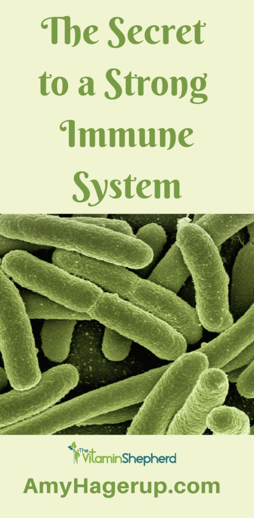 Learn the secret to a strong immune system.